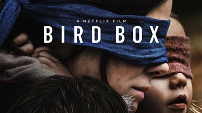 قصة فيلم Bird Box 