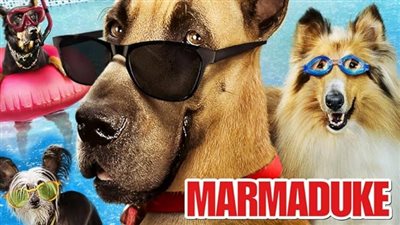 قصة فيلم Marmaduke