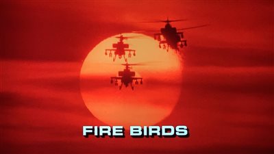 قصة فيلم Fire Birds