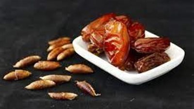 فوائد نوى البلح