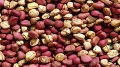 فوائد ثمار القورو