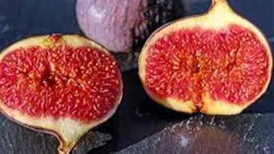 فوائد التين للمعدة