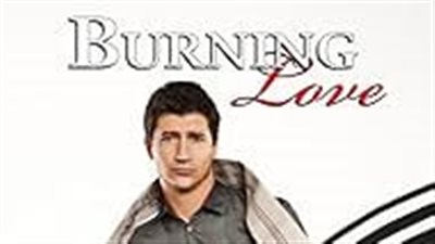 قصة مسلسل Burning Love