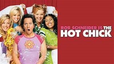قصة فيلم The Hot Chick 