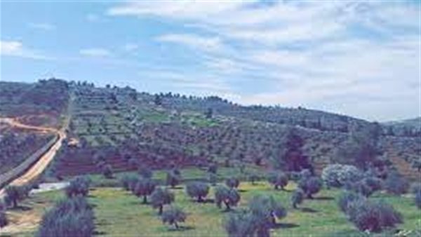 موقع أيام نيوز