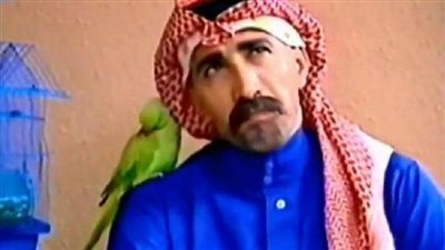 قصة مسلسل أبو شلاخ البرمائي