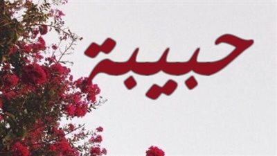 معنى اسم حبيبه وصفات حاملة الاسم 