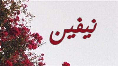 معنى اسم نيفين وصفات حاملة الاسم 
