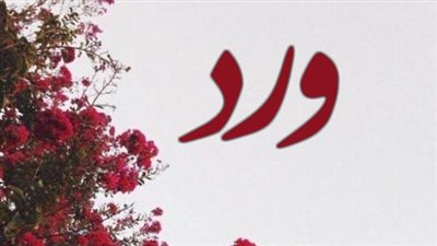 معنى اسم ورد وصفات حاملة الاسم 