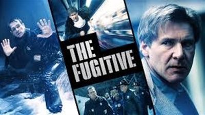 قصة فيلم The Fugitive