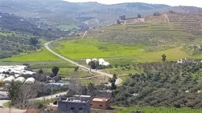 تعرف على قرية الكرم في المفرق