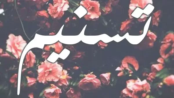 موقع أيام نيوز