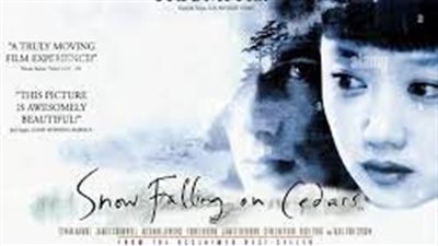 قصة فيلم Snow Falling on Cedars