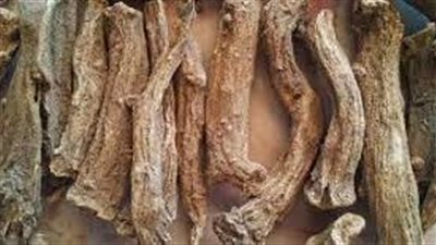 فوائد القسط الهندي للمعدة