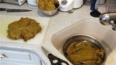 طريقة سلق ورق العنب بخطوات سهلة 