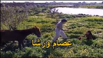 قصة مسلسل عصام ورشا
