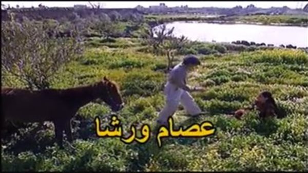 موقع أيام نيوز