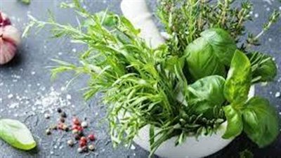 كيفية استخدام أعشاب فتح الشهية