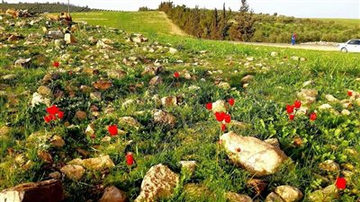 تعرف على قرية السويلمه في المفرق