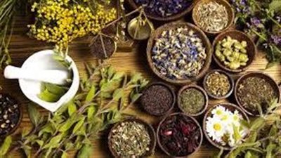 أعشاب لتخفيض هرمون الحليب