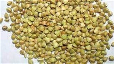 ما هي الحنطة السوداء