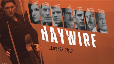 قصة فيلم Haywire
