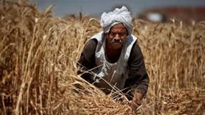 حارس الأرض: رمز الصبر والجلد