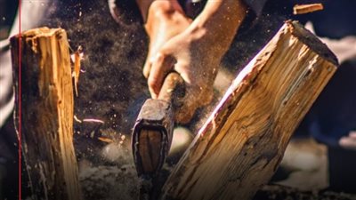 إجراءات قانونية بحق المعتدين على الغابات بهدف التحطيب