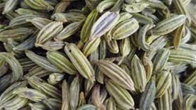 طريقة تناول بذور الشمر