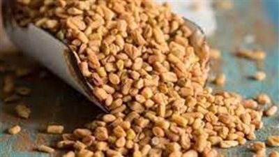 فوائد الحلبة بالعسل الأسود
