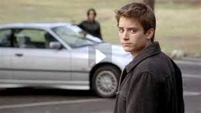 قصة فيلم The Bumblebee Flies Anyway