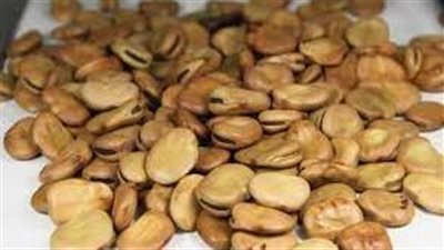 عدد السعرات الحرارية في الفول