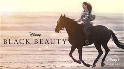 قصة فيلم Black Beauty