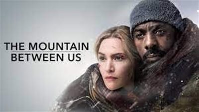 قصة فيلم The Mountain Between Us