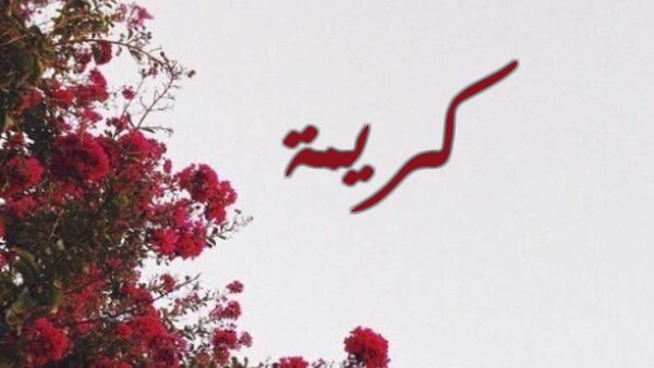 موقع أيام نيوز