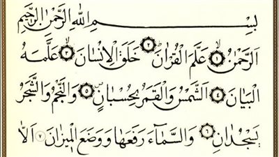 كنت أقرأ سورة (الرحمن) يوماً ما، فسمعني شيخ كبير في السن