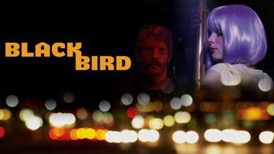 قصة فيلم Blackbird