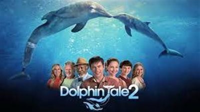 قصة فيلم Dolphin Tale 2