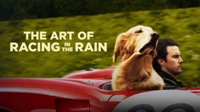قصة فيلم The Art of Racing in the Rain