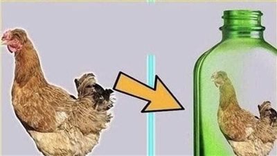 هذه قصة يرويها أحد المعلمين الأفاضل والذي كان يتصف بالذكاء