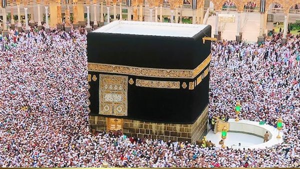موقع أيام نيوز
