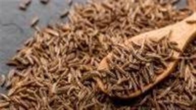 فوائد الشمر