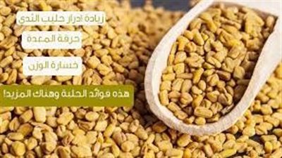 كيفية استخدام الحلبة للشعر