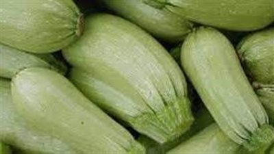 طريقة تخزين الكوسا