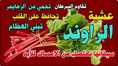 ما هي فوائد عشبة الراوند ؟