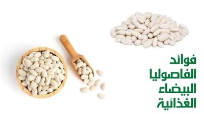 ما هي فوائد الفاصوليا البيضاء ؟
