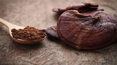 هل هناك فوائد لمسحوق الفطر