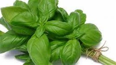موانع استخدام الحبق للرجال