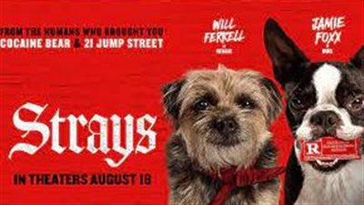 قصة فيلم Strays
