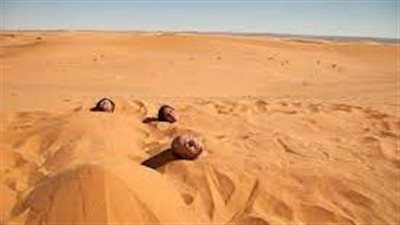 الرمل: فوائده الصحية والنفسية